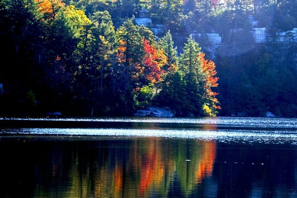 Le lac bleu reflète les arbres