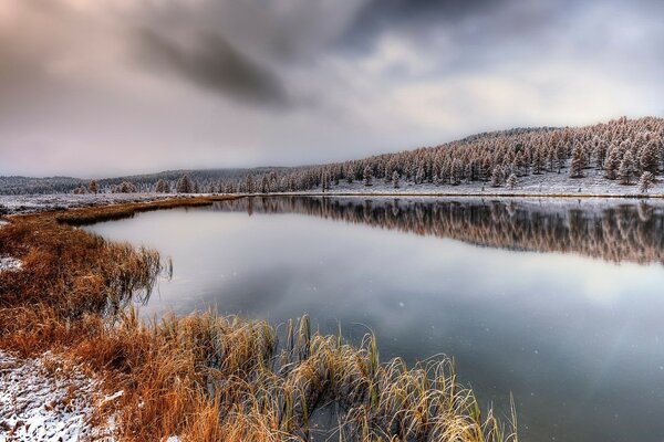 The surface of the lake against the background of a snow-covered forest