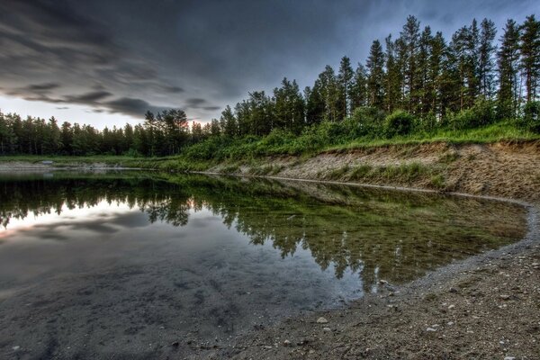 Lago transparente contra el bosque