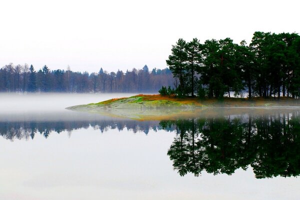 Niebla sobre el río en el bosque en el fondo