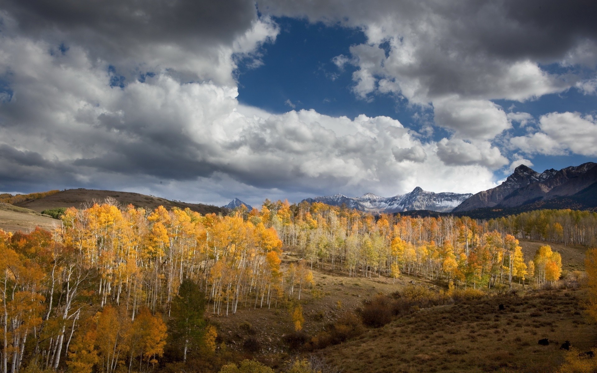 herbst herbst landschaft natur holz im freien baum landschaftlich berge himmel reisen blatt schnee morgendämmerung gutes wetter