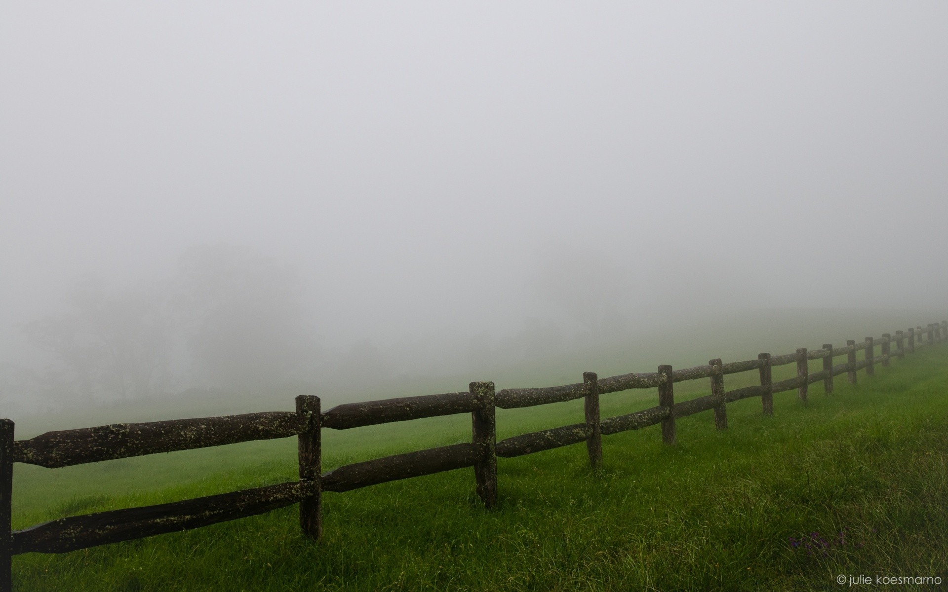 autumn fence fog landscape mist dawn barbed wire grass light farm water sunset outdoors sky nature wood