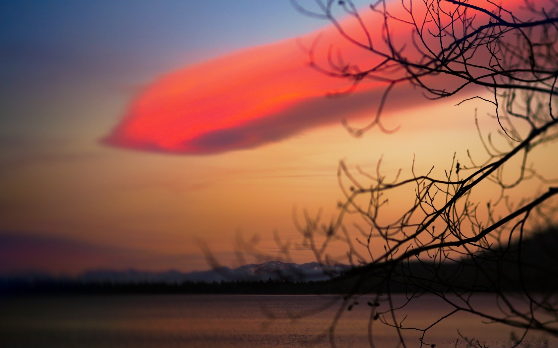 autumn sunset dawn evening dusk landscape sky silhouette sun water nature weather fog tree lake outdoors backlit light reflection