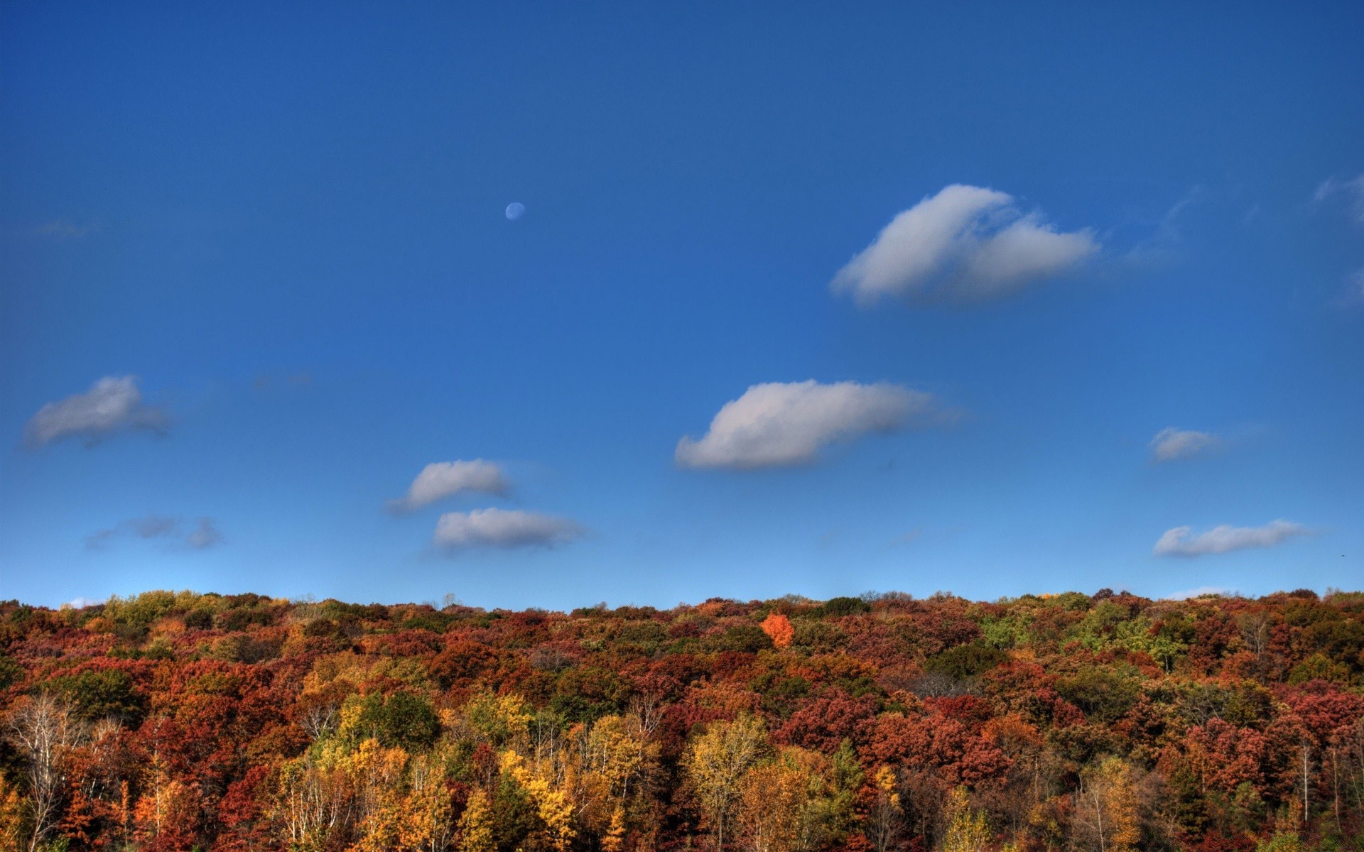 autumn landscape fall nature sky outdoors tree travel scenic sunset dawn wood leaf