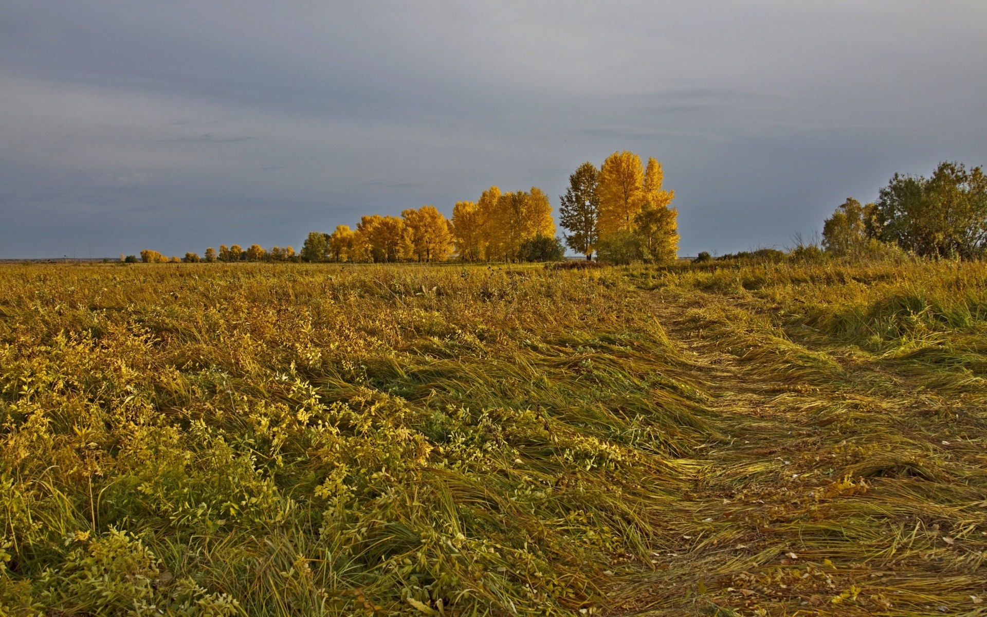 herbst landschaft landwirtschaft im freien feld baum natur bebautes land landschaft tageslicht landschaftlich himmel herbst bauernhof des ländlichen dämmerung heuhaufen umwelt