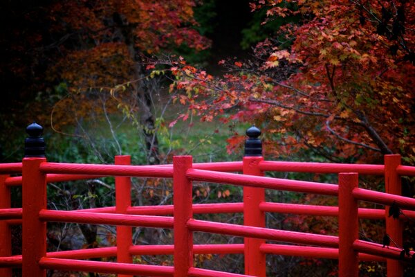 The red fence perfectly complements the autumn atmosphere