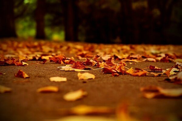 Oh, im Herbst ist es schön, wenn es trocken ist