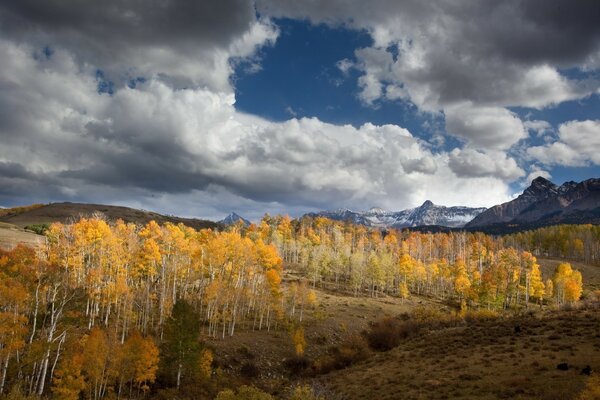 Otoño después con árboles y montañas