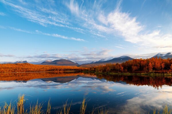 Landschaft des Sees auf dem Hintergrund des Herbstwaldes