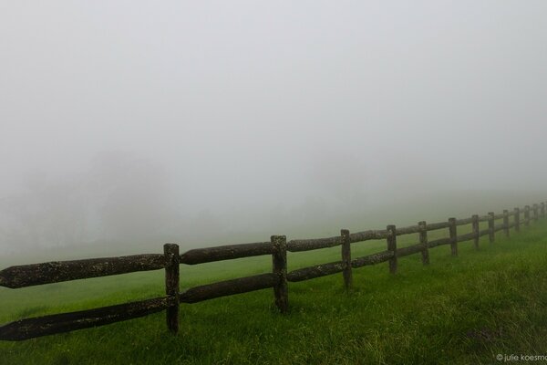 Clôture en bois avec de l herbe verte dans le brouillard