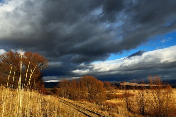 Campo amarillo otoñal y cielo azul entre las nubes