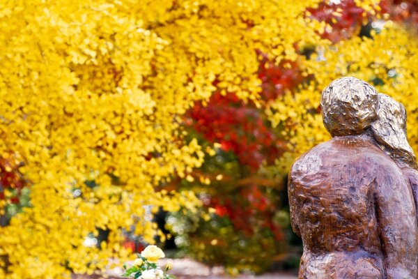 Les couleurs dorées de la nature plaisent aux yeux