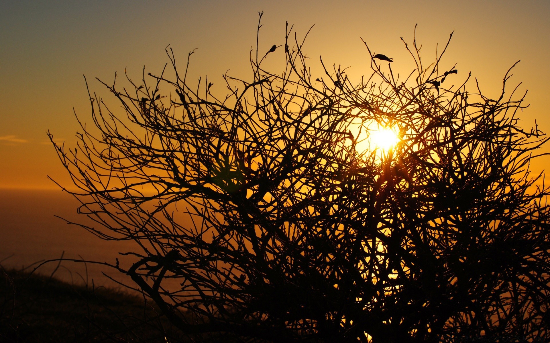 outono pôr do sol amanhecer natureza sol árvore noite paisagem céu crepúsculo bom tempo seco ao ar livre silhueta ouro luz de fundo ramo luz outono brilhante