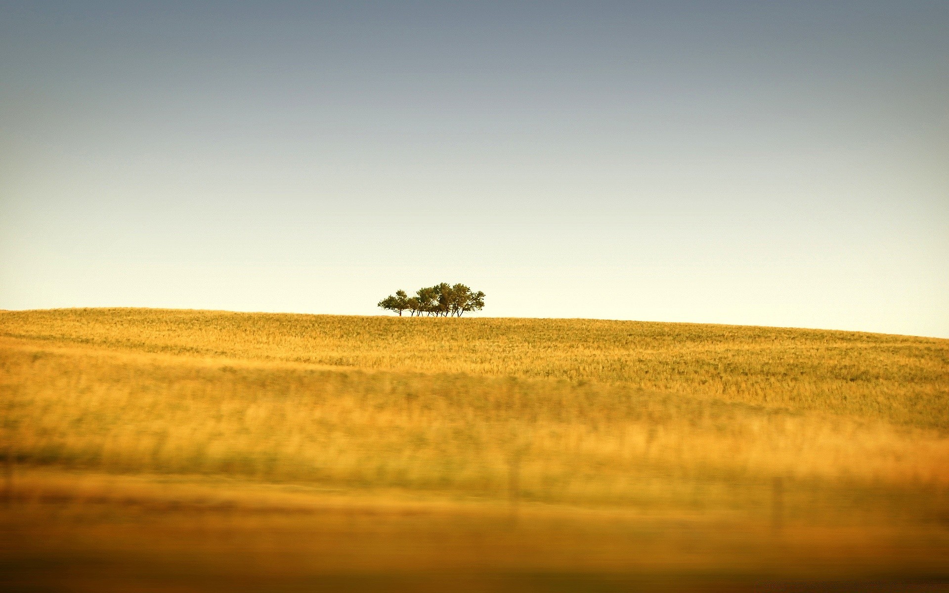 otoño paisaje puesta de sol campo cielo naturaleza granja oro luz agricultura trigo otoño al aire libre sol tierra cultivada amanecer hierba rural pastizales árbol