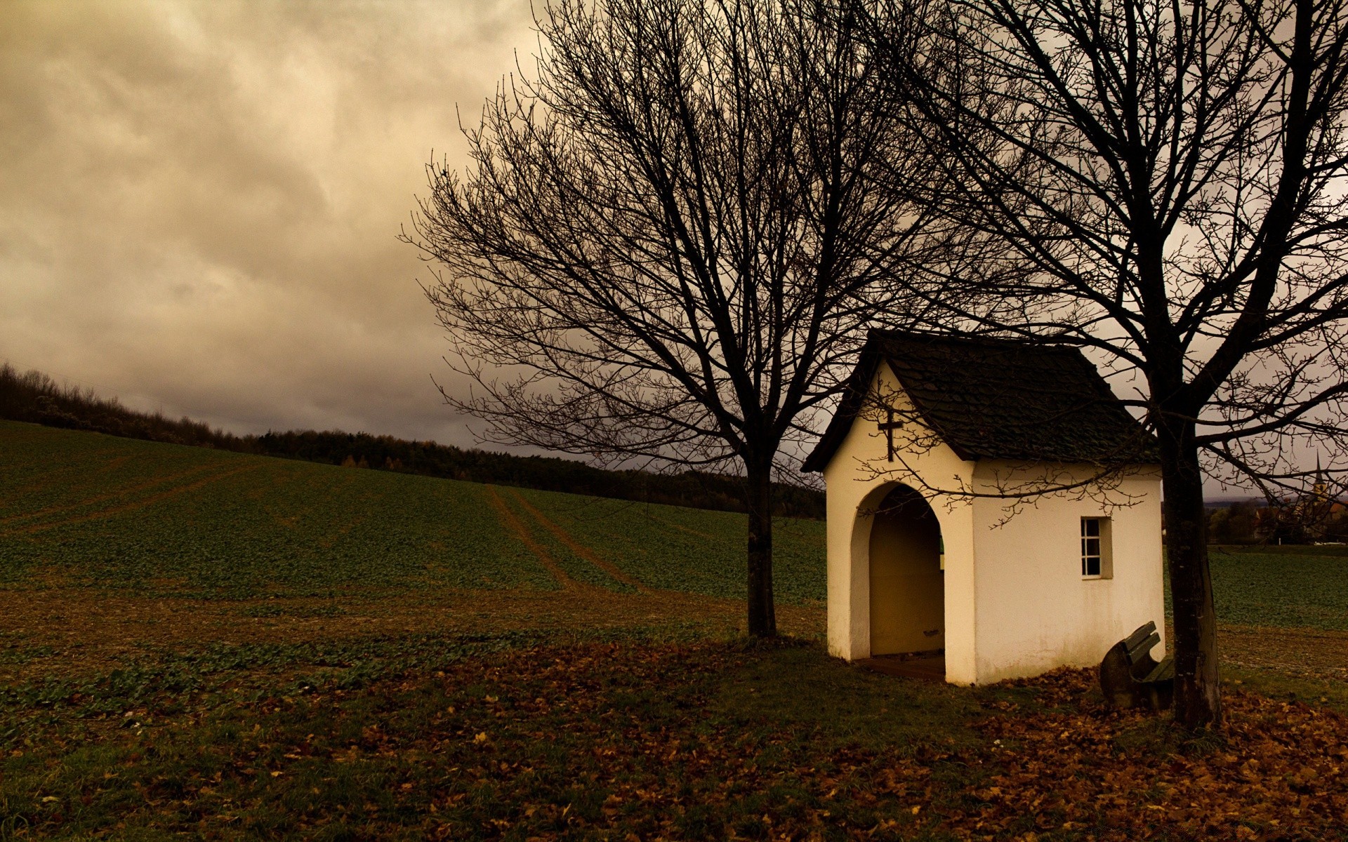 outono árvore paisagem vertente outono casa luz madeira exterior