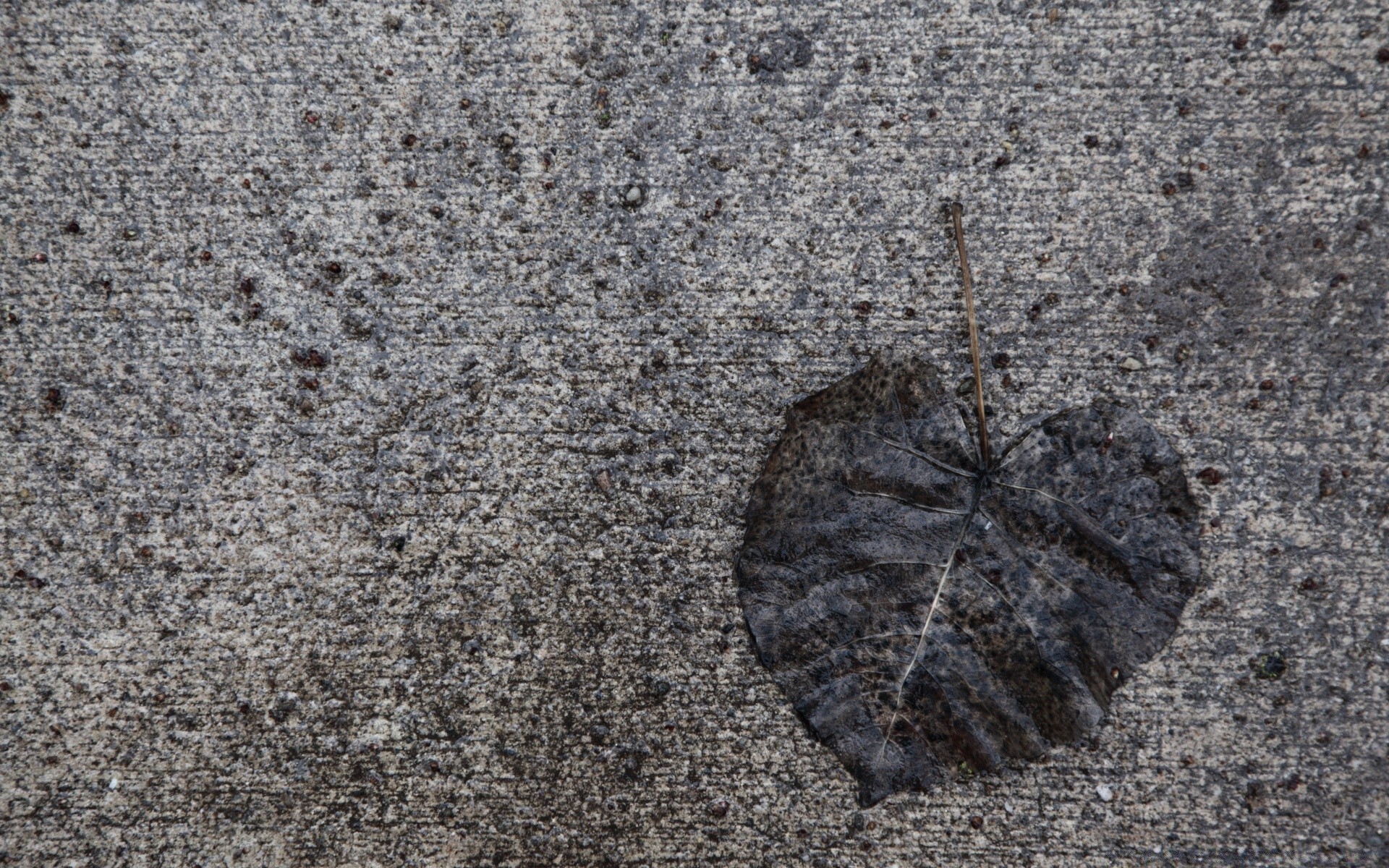 herbst desktop textur abstrakt muster natur sand stein oberfläche alt schließen boden rau schmutzig rock