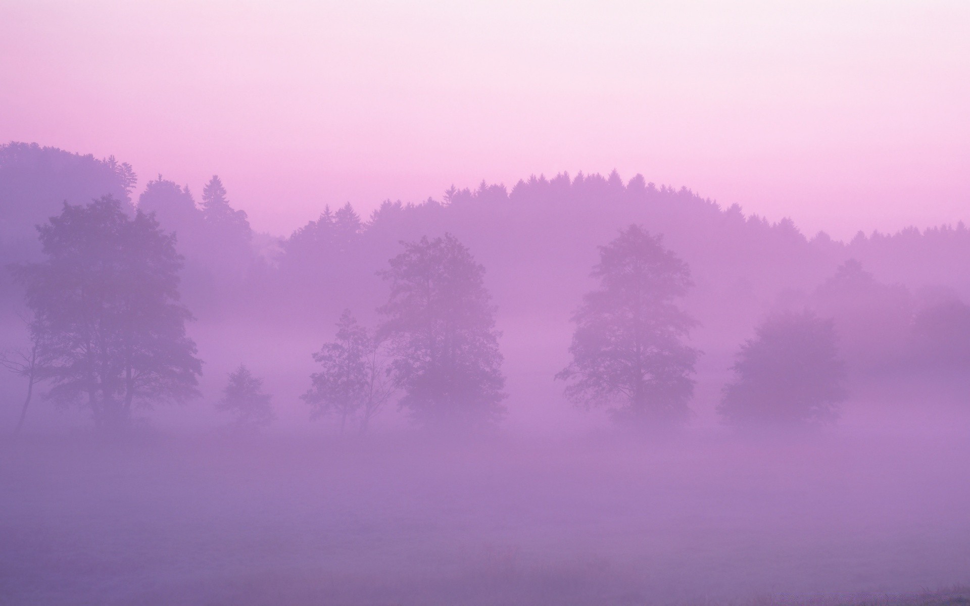 autumn landscape fog dawn weather nature light sunset sky mist sun color silhouette desktop evening outdoors