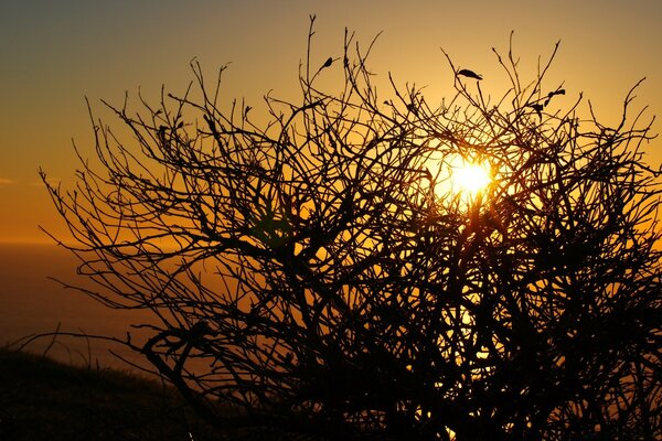 Alba autunnale. Il sole riscalda i primi raggi