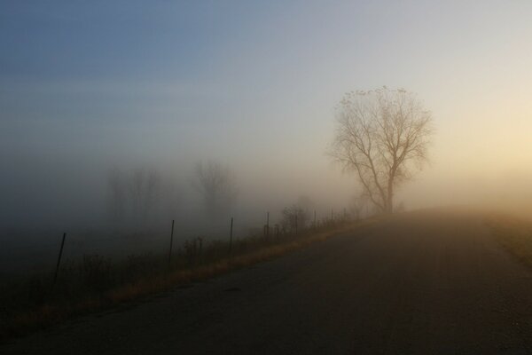 Landschaft des nebligen Morgens im Morgengrauen