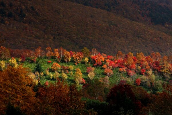 Herbstlandschaft im Freien