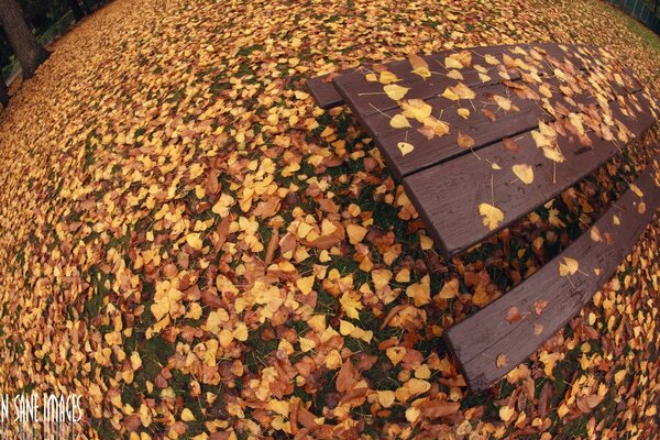 Schizzo autunnale. Per iPhone di lavoro