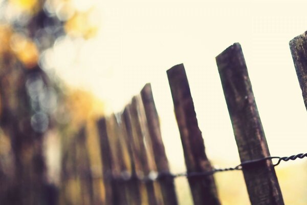 Old fence in the field