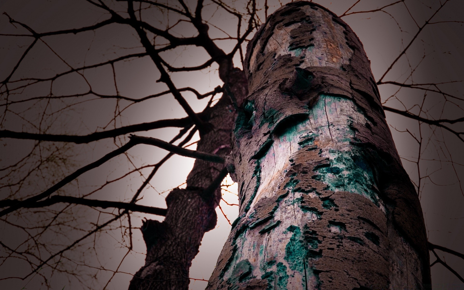 herbst holz holz licht natur desktop im freien farbe himmel silhouette kunst