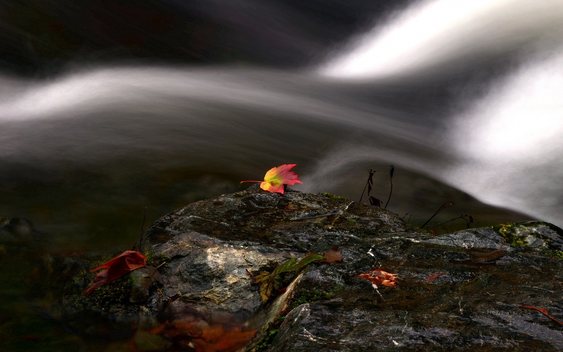 herbst wasser landschaft fluss natur rock unschärfe herbst im freien park licht see holz