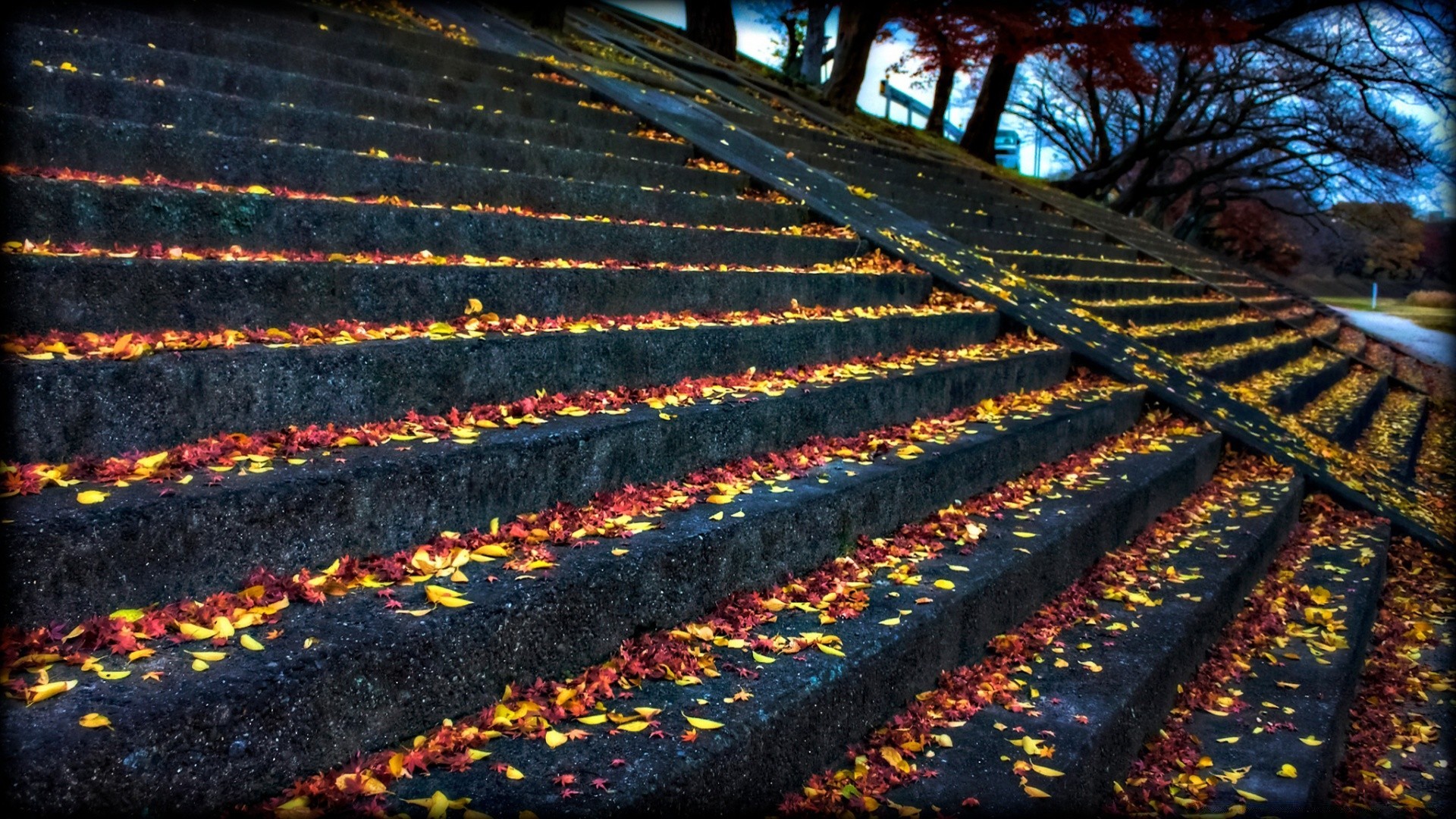 otoño escritorio patrón abstracto textura al aire libre