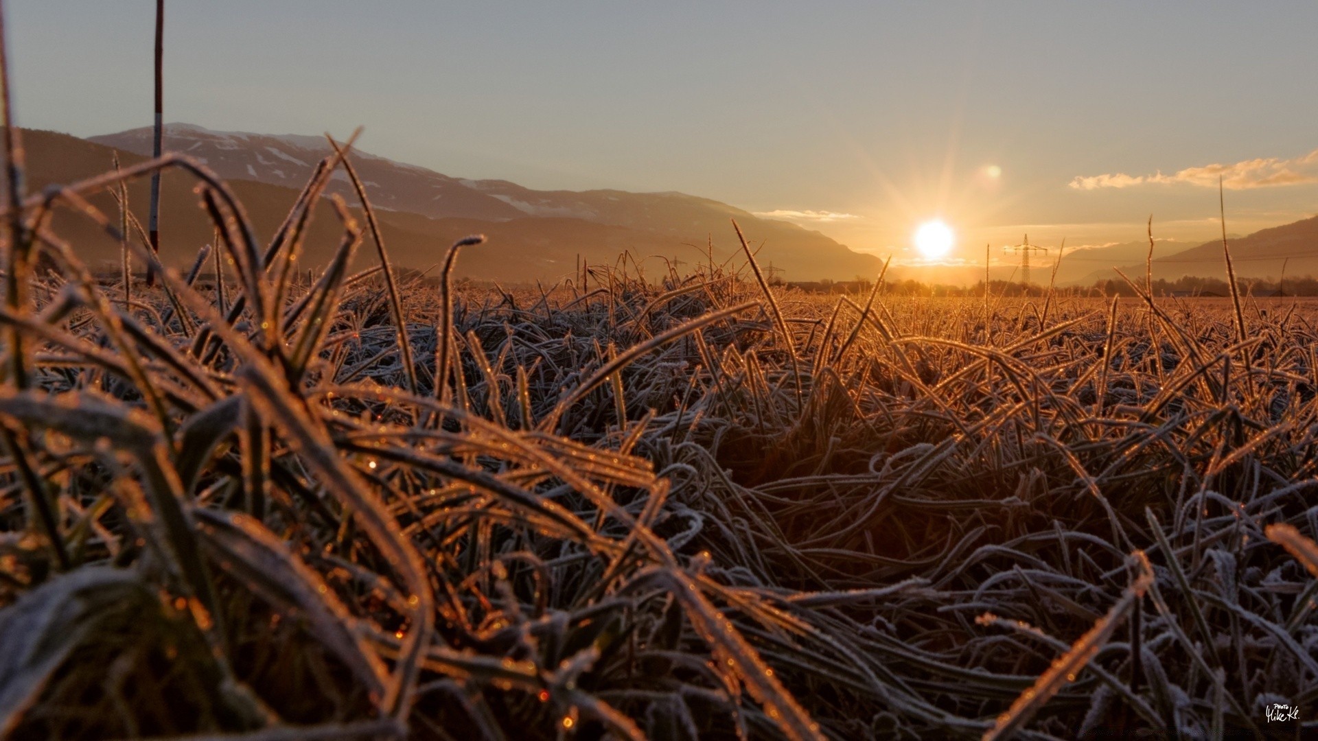 autumn sunset dawn landscape sun cereal sky nature straw evening agriculture gold field crop wheat farm dusk beach dry sea