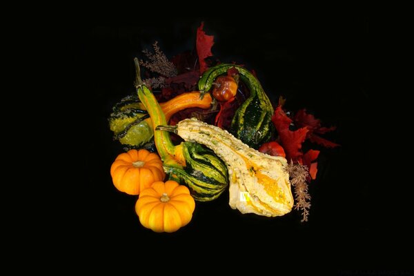 Feuilles et légumes d automne