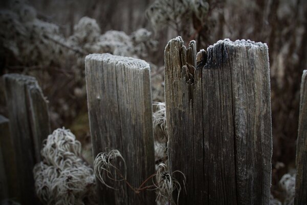 Photo d une vieille clôture avec une texture de bois