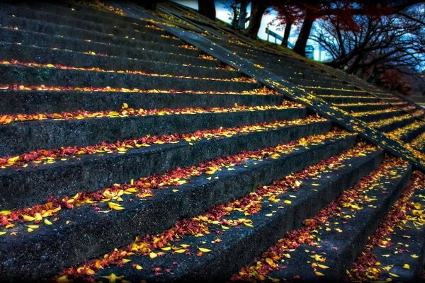 Escaleras cubiertas con una colcha de oro