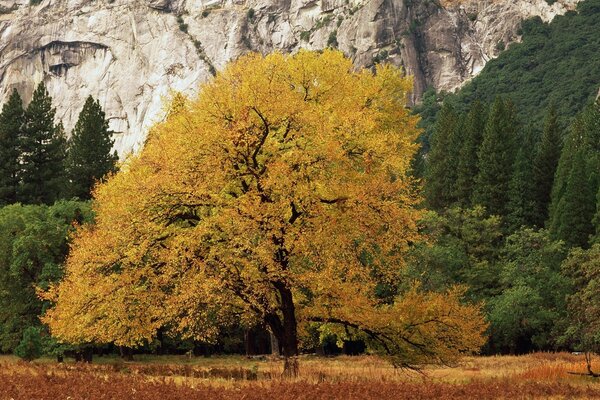 Das Bergplateau im Herbst