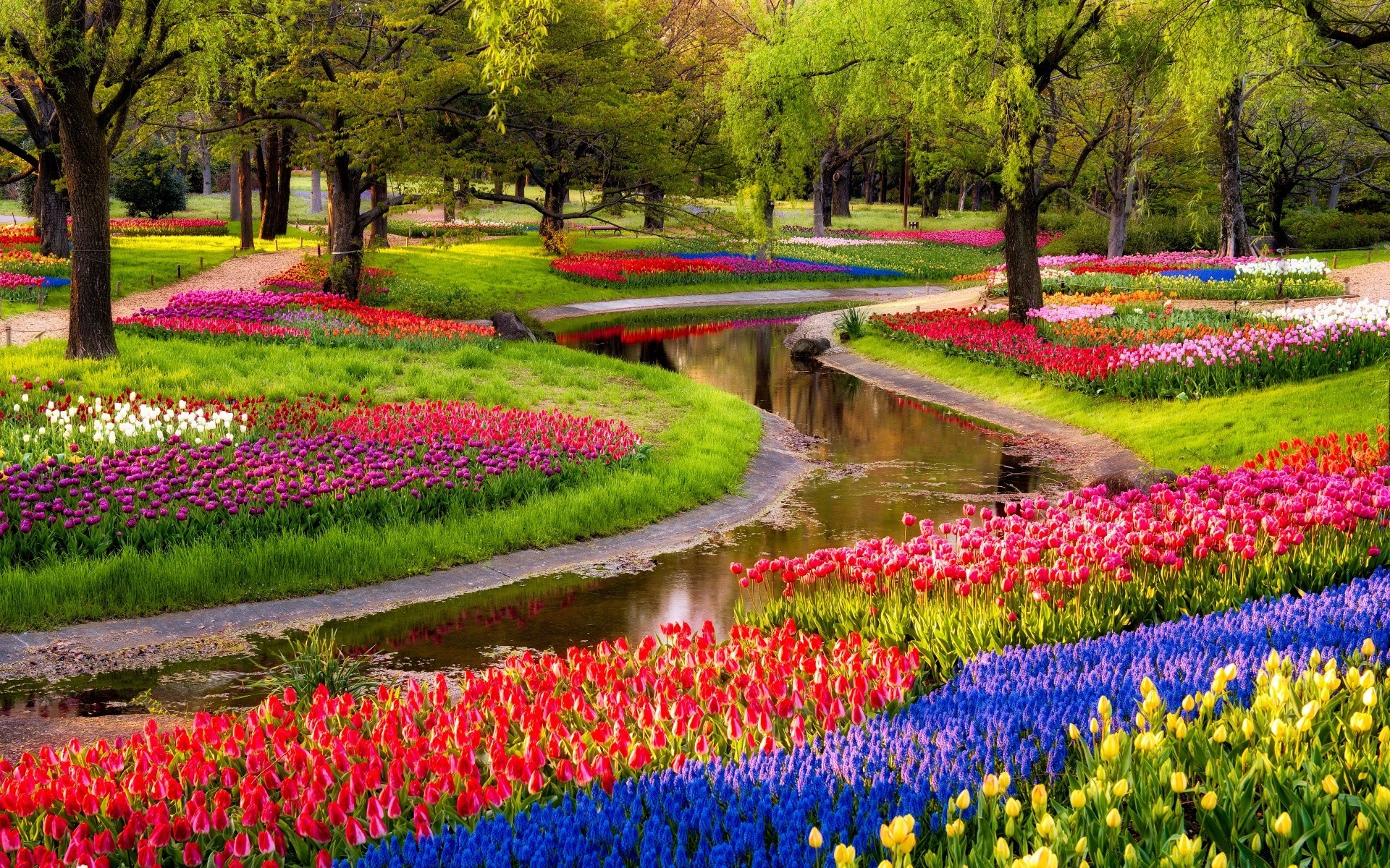 frühling blume garten tulpe natur landschaft park flora farbe gras saison baum im freien blühen blatt wachstum sommer frühling landschaftlich rasen