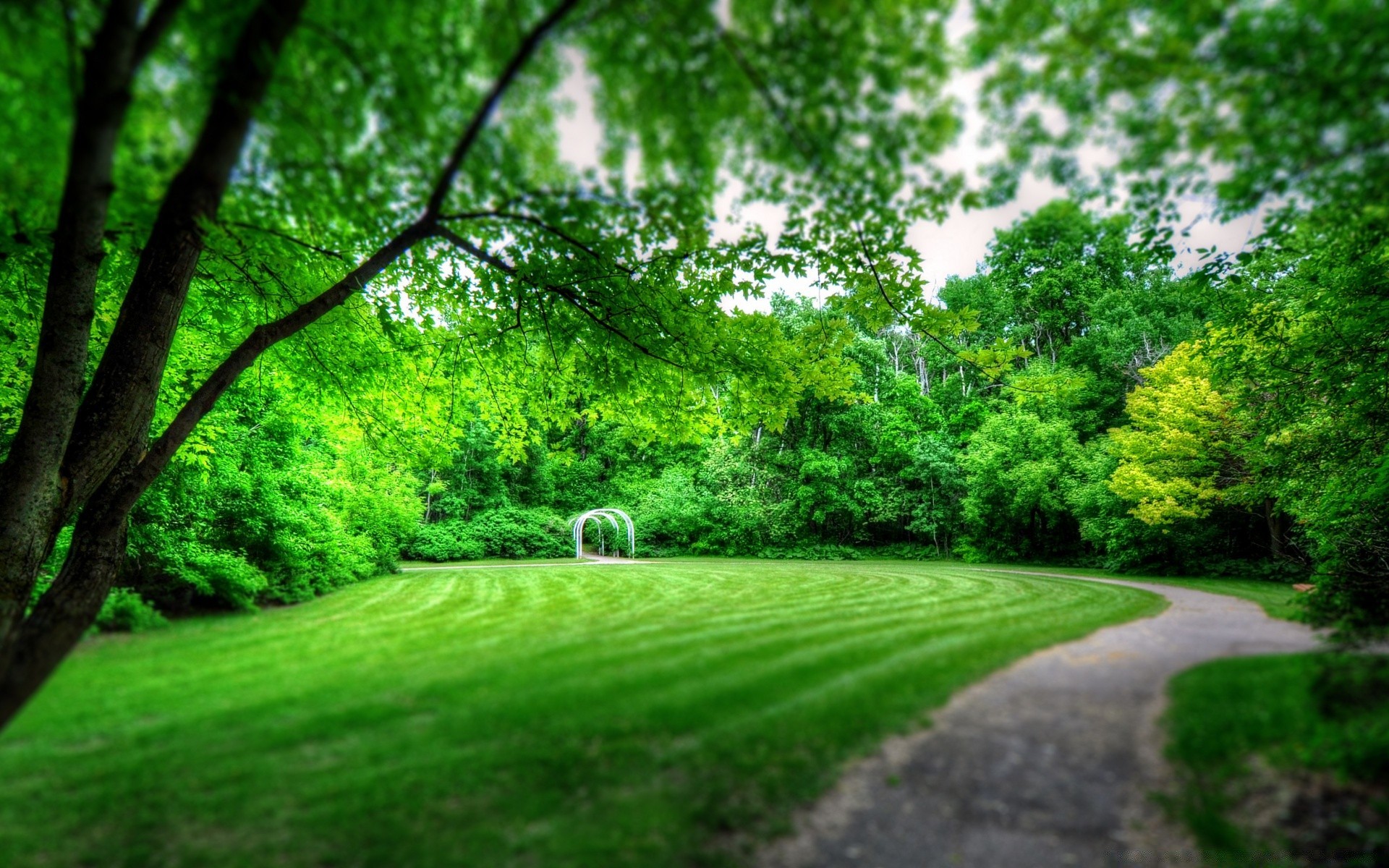 printemps herbe paysage nature arbre feuille environnement luxuriante bois route été manuel flore rural parc pelouse saison jardin extérieur campagne