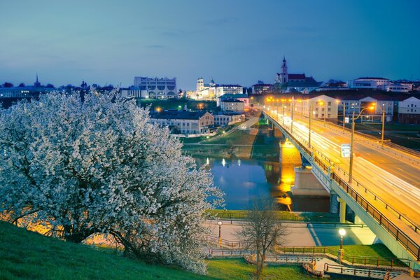 Hermoso puente con un árbol en flor