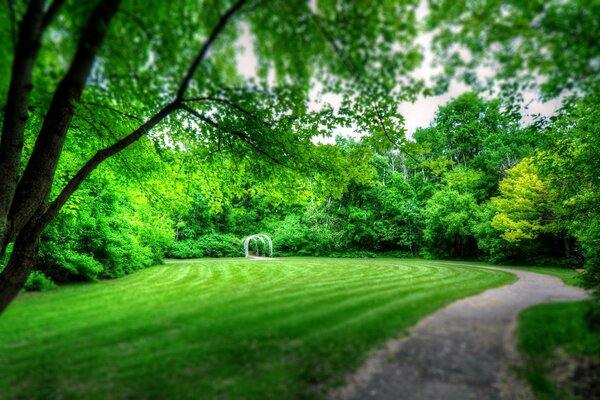 Parc d été avec pelouse et route