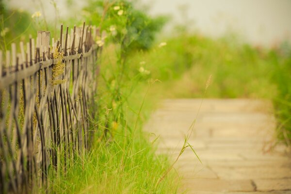 Spring landscape. Old fence