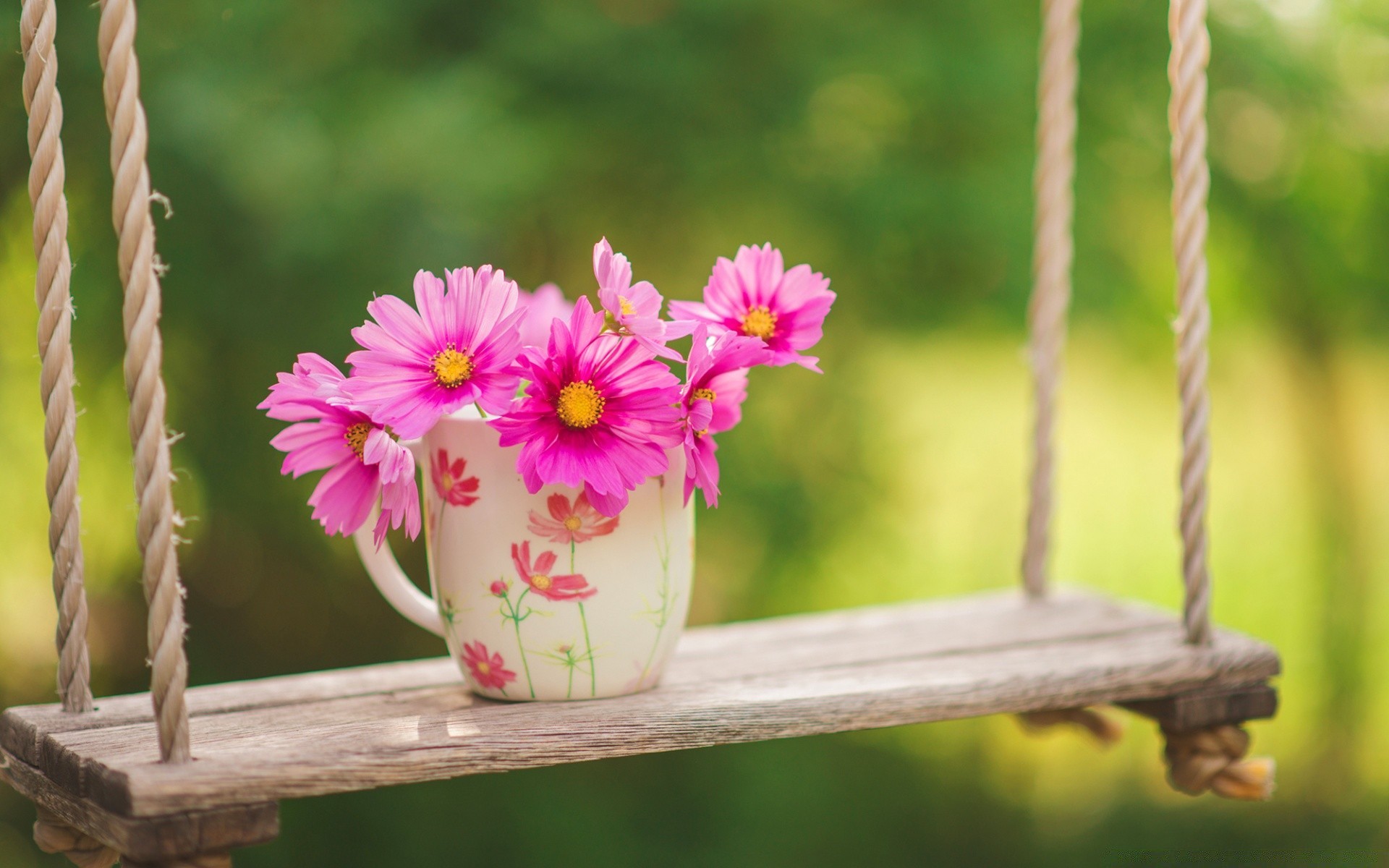 bahar doğa çiçek yaz bahçe flora renk yaprak açık havada güzel parlak