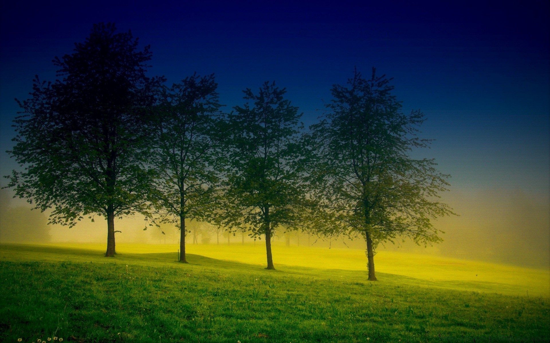 primavera paisaje árbol naturaleza amanecer sol hierba campo rural cielo buen tiempo heno puesta del sol escénico al aire libre luz campo