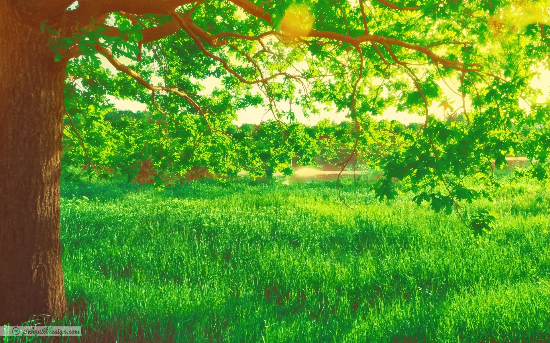 frühling holz blatt natur baum saison landschaft gras flora herbst sommer umwelt park im freien wachstum hell des ländlichen garten farbe üppig