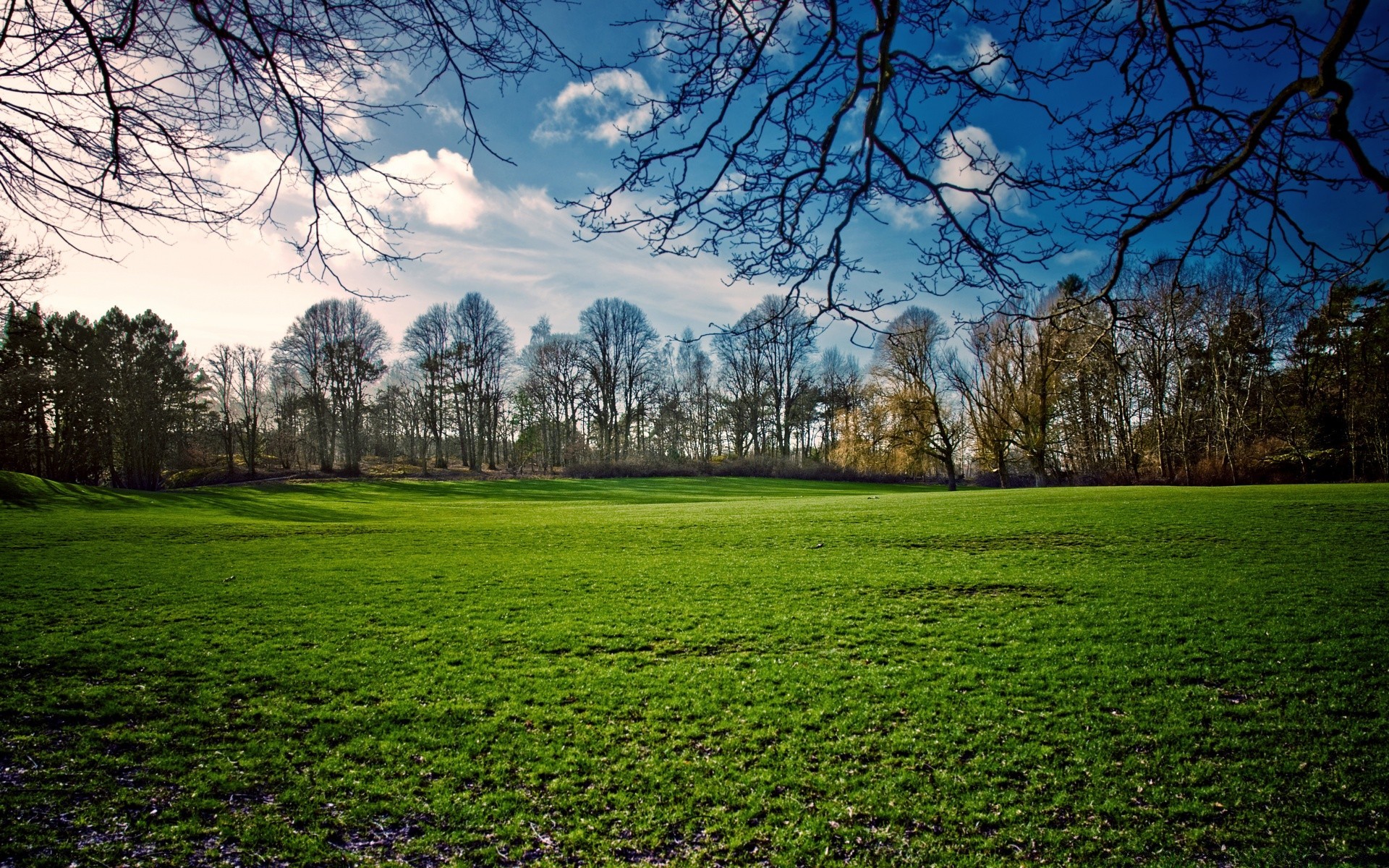 wiosna krajobraz drzewo trawa natura spektakl sceniczny park trawnik wiejski sezon pole sianokosy wieś scena krajobrazy na zewnątrz