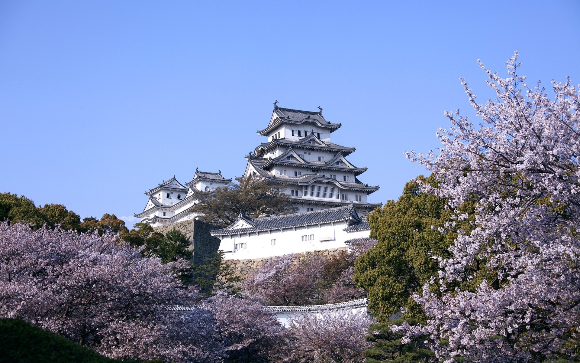 spring tree flower architecture sky outdoors travel building garden landscape nature flora park