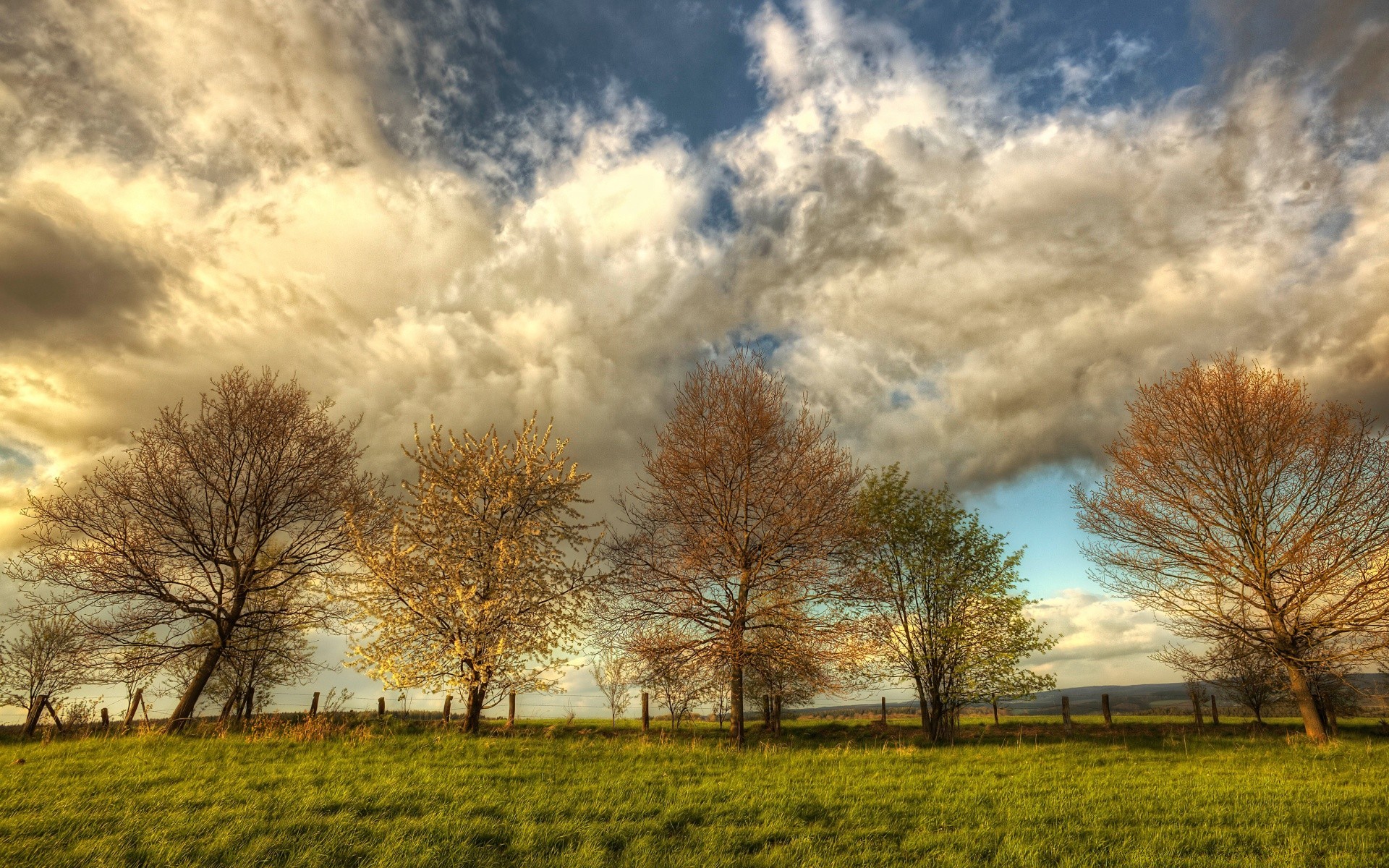 primavera paesaggio albero natura rurale campagna cielo autunno alba tempo bel tempo erba all aperto campo sole