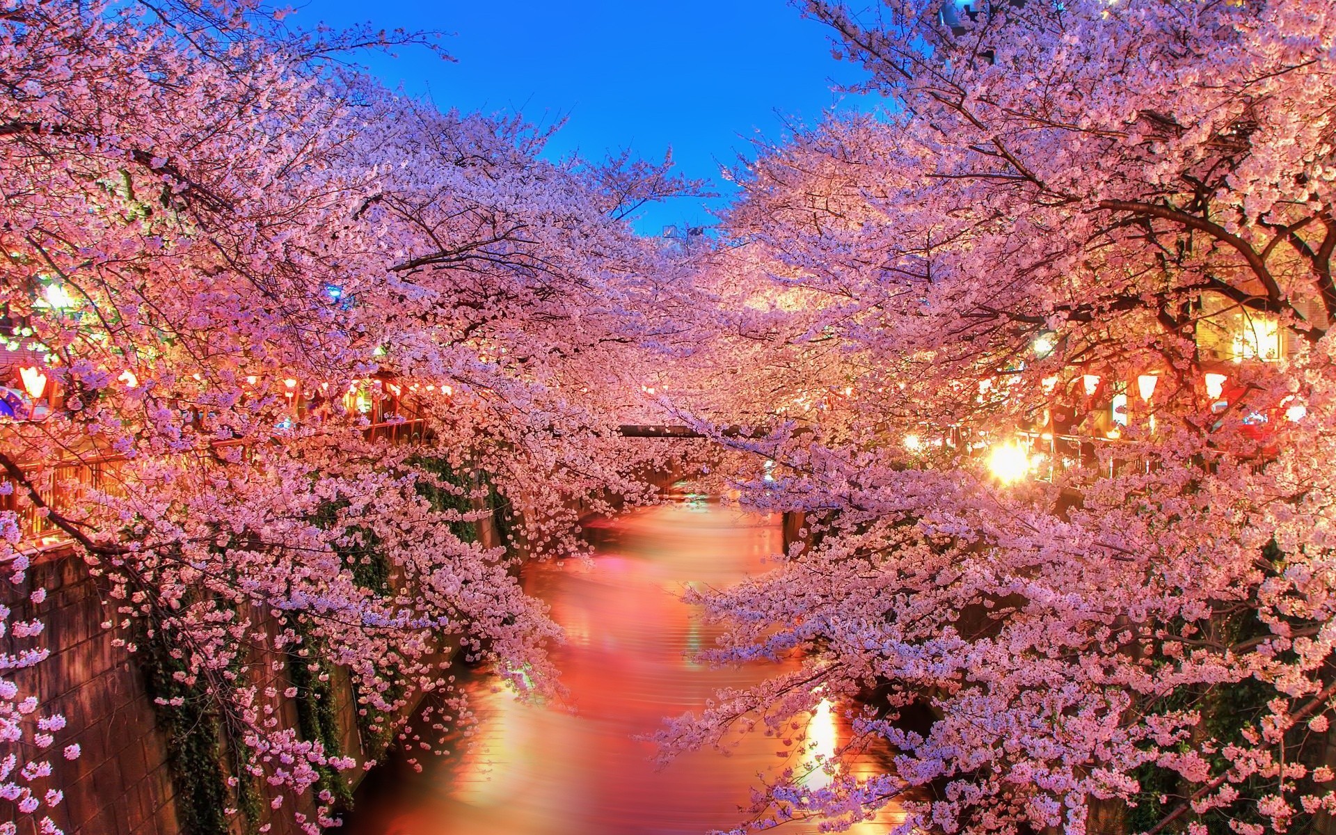 primavera albero natura paesaggio scenic stagione dell acqua all aperto autunno foglia di colore parco di viaggio ramo flora