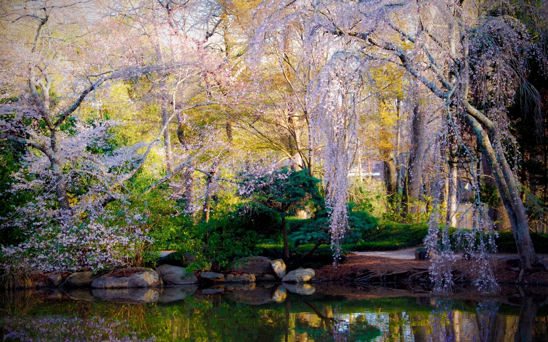 primavera naturaleza árbol otoño hoja madera paisaje parque temporada escénico paisaje al aire libre flora rama agua escena piedra rural color campo