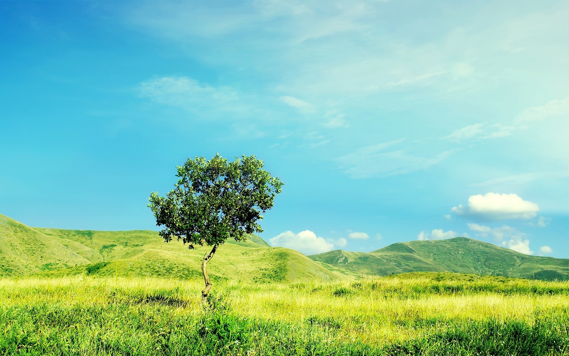 frühling landschaft natur feld baum himmel gras sommer des ländlichen raums landschaft heuhaufen hügel im freien landwirtschaft sonne horizont wolke idylle gutes wetter land