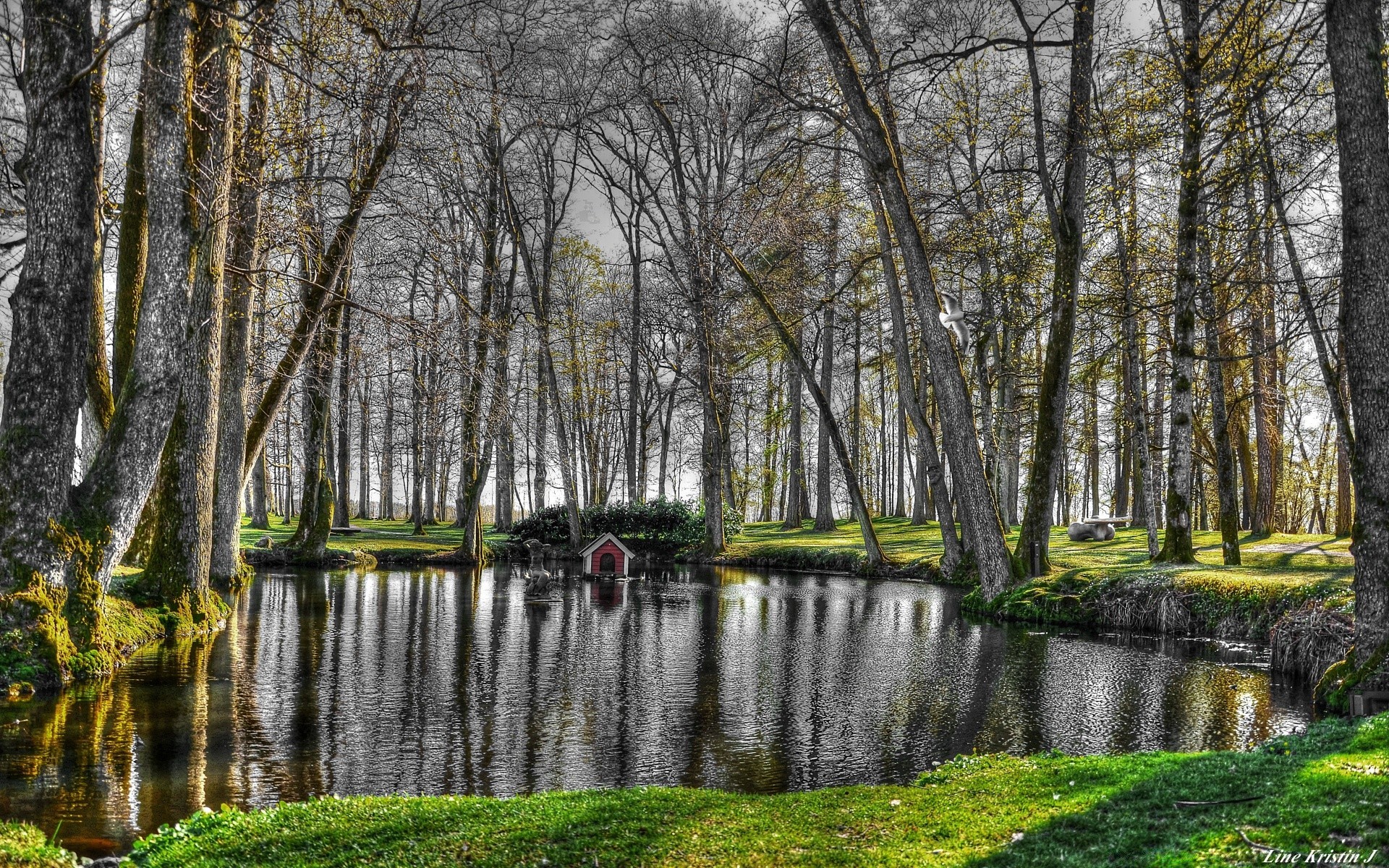 primavera naturaleza otoño árbol madera paisaje parque hoja agua temporada reflexión al aire libre río lago piscina escénico calma paisaje buen tiempo amanecer