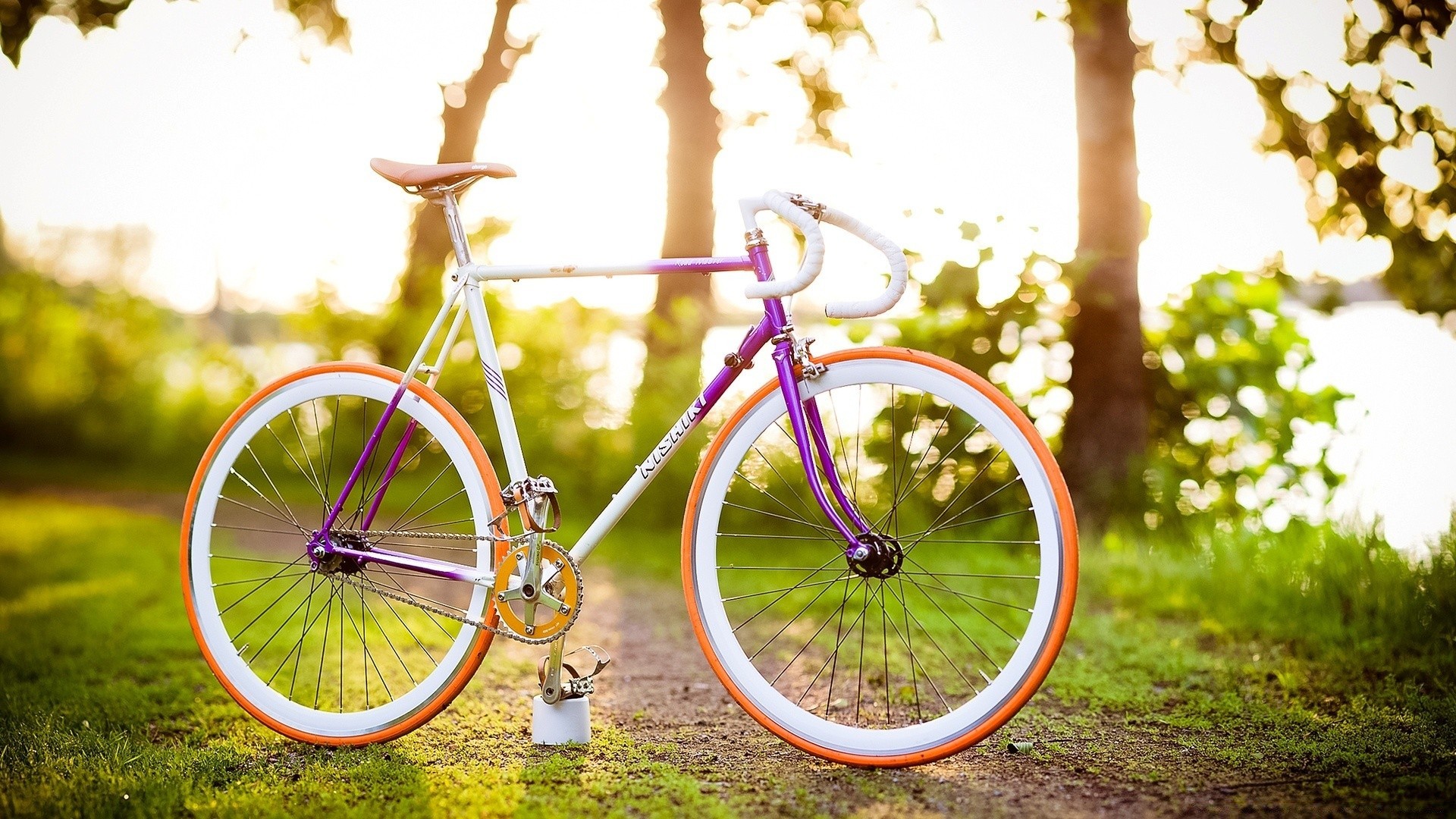 primavera ruote bicicletta natura estate erba parco albero legno all aperto